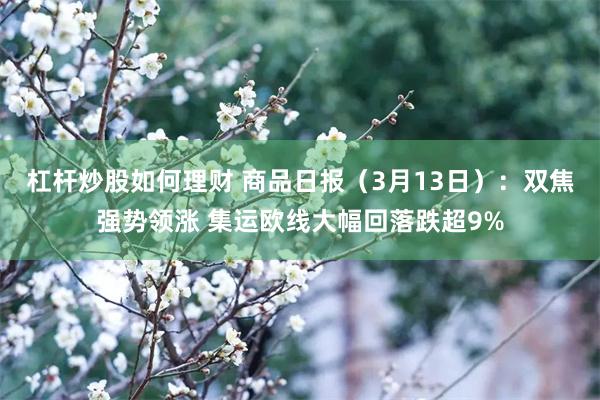 杠杆炒股如何理财 商品日报（3月13日）：双焦强势领涨 集运欧线大幅回落跌超9%