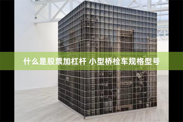 什么是股票加杠杆 小型桥检车规格型号