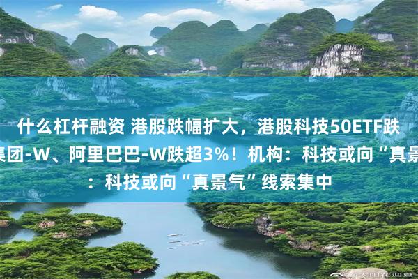什么杠杆融资 港股跌幅扩大，港股科技50ETF跌超4%，小米集团-W、阿里巴巴-W跌超3%！机构：科技或向“真景气”线索集中