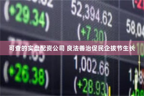 可查的实盘配资公司 良法善治促民企拔节生长