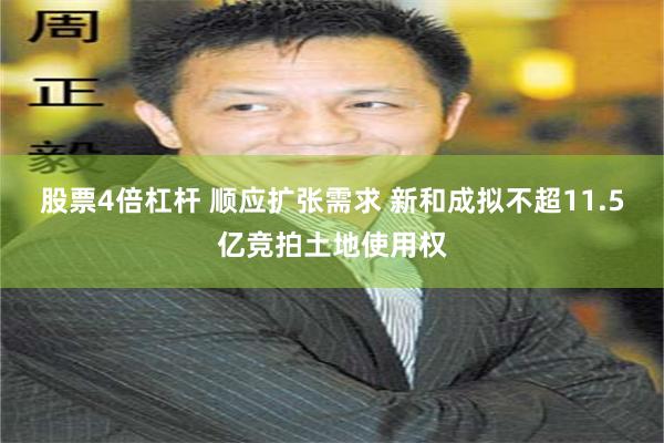 股票4倍杠杆 顺应扩张需求 新和成拟不超11.5亿竞拍土地使用权