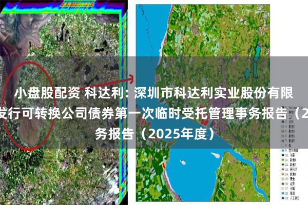 小盘股配资 科达利: 深圳市科达利实业股份有限公司公开发行可转换公司债券第一次临时受托管理事务报告（2025年度）