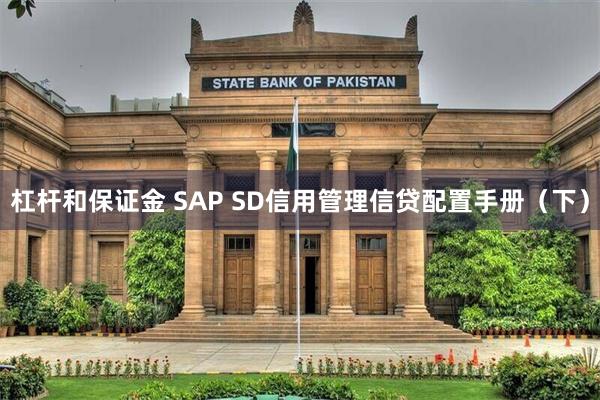 杠杆和保证金 SAP SD信用管理信贷配置手册（下）