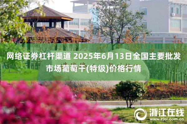 网络证劵杠杆渠道 2025年6月13日全国主要批发市场葡萄干(特级)价格行情