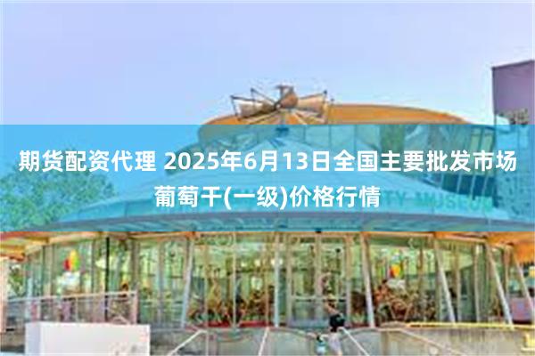 期货配资代理 2025年6月13日全国主要批发市场葡萄干(一级)价格行情