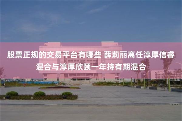 股票正规的交易平台有哪些 薛莉丽离任淳厚信睿混合与淳厚欣颐一年持有期混合