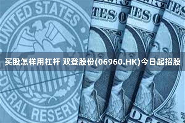 买股怎样用杠杆 双登股份(06960.HK)今日起招股