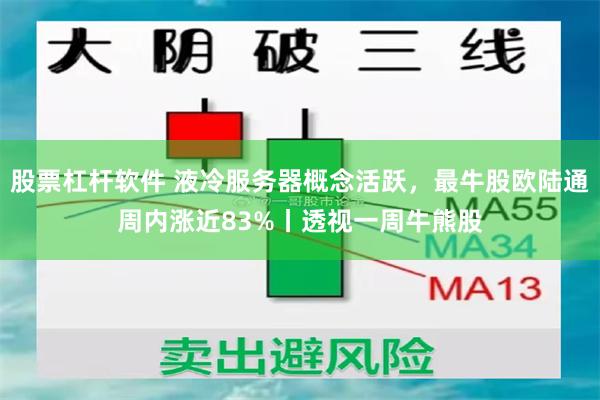 股票杠杆软件 液冷服务器概念活跃，最牛股欧陆通周内涨近83%丨透视一周牛熊股