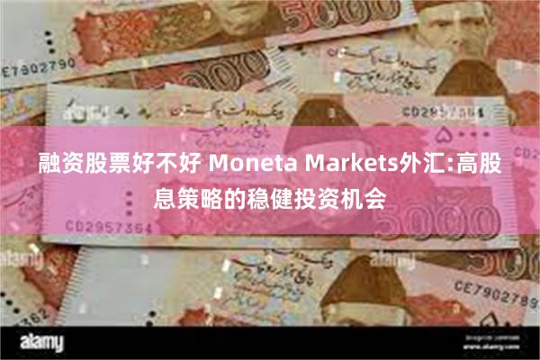 融资股票好不好 Moneta Markets外汇:高股息策略的稳健投资机会