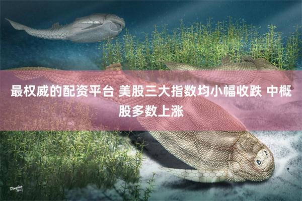 最权威的配资平台 美股三大指数均小幅收跌 中概股多数上涨
