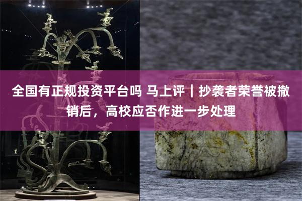 全国有正规投资平台吗 马上评｜抄袭者荣誉被撤销后，高校应否作进一步处理