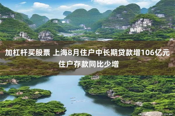 加杠杆买股票 上海8月住户中长期贷款增106亿元 住户存款同比少增
